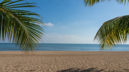 Serene sandy beach with palm trees and calm blue ocean under clear sky