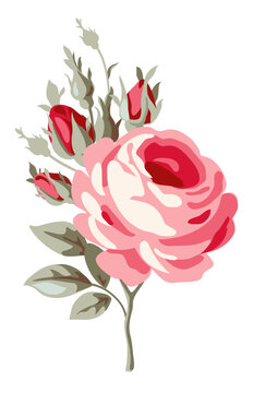 Decorative vintage pink rose with red buds and leaves. Spring flower tattoo design. Vector illustration