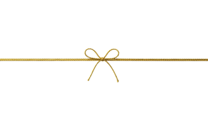 A thin yellow line with a looped wire crossing it on a black background