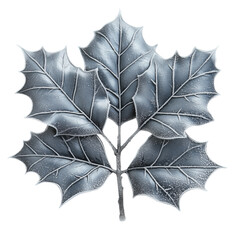 Holly Leaves Covered in Frost Create a Stunning Winter Scene in Nature