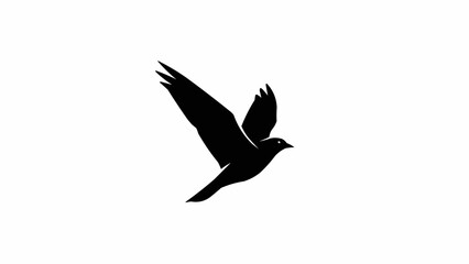 Silhouette of a bird in flight with wings spread wide.