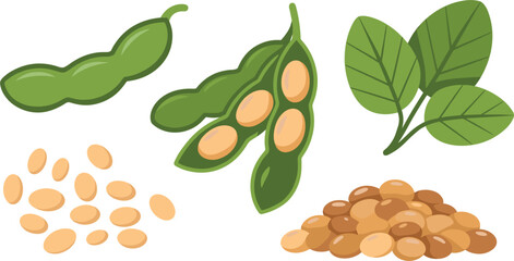Flat Vector Illustration of Soybean Elements Featuring Green Pods Dried Seeds Leaves and Grain Pile