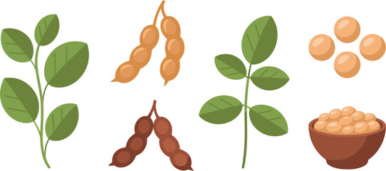 Flat Vector Illustration of Soybeans Featuring Hanging Pods Green Foliage and Bowl of Seeds