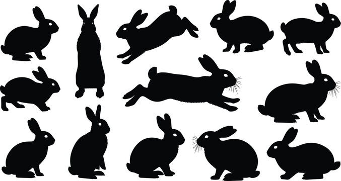 Black rabbit silhouette set animal illustration isolated on white background bunny poses vector design collection logo tattoo icon clipart bundle