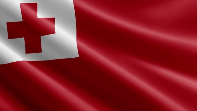  Tonga Waving Flag Animation with Realistic Silk Texture Loop