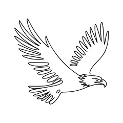 Vector illustration of a bird isolated on transparent background