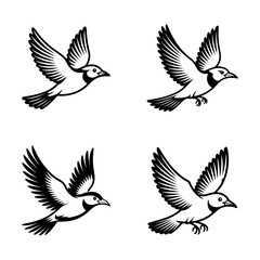 Obraz premium Set of black silhouettes of birds isolated on transparent background