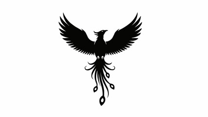 Obraz premium eagle with wings