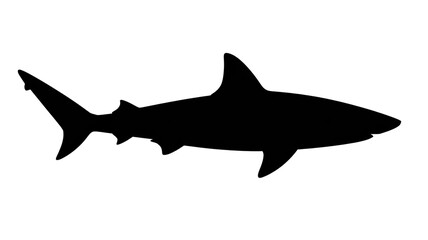 Naklejka premium A black silhouette of a shark swimming horizontally across a white background