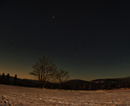 Scenic winter snowy landscape of Jeseniky mountains in the evening, trees, stars in the sky