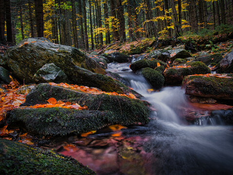 Wild river Opava with stones in Jeseniky mountains in autumn, Eastern Europe, Moravia