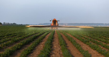 Tractor spraying crops in a lush green field at sunset.
