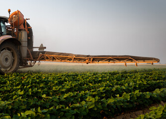 Tractor spraying crops in a lush green field at sunset.
