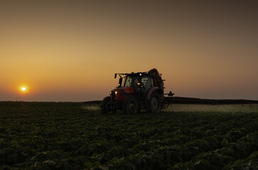 Tractor spraying crops in a lush green field at sunset.