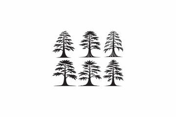 Bald Cypress wood tree vector silhouettes black image.