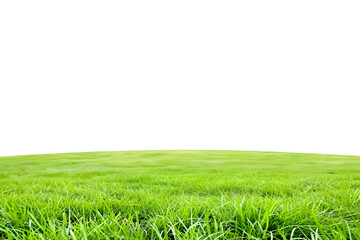 Green Grass Field Landscape Isolated on Transparent Background