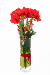 Ein weihnachtlicher Strau&szlig; aus Amaryllis in einer Glasvase auf wei&szlig;em Grund