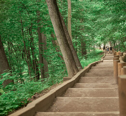 A stepping stone path in a park on Sparrow Hills with green trees. Hiking trails in Neskuchny Garden in Moscow. Wooden stairs in a park with green trees in Moscow.
