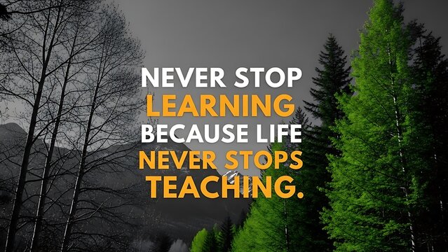 Never stop learning because life never stops teaching quote