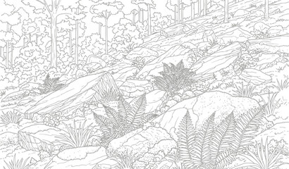Fototapeta premium Detailed black and white line art coloring page featuring a rocky forest hillside with abundant ferns and trees