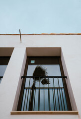 Palmera reflejada en ventana