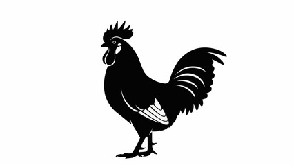 rooster isolated on white © Wahyubudiyono