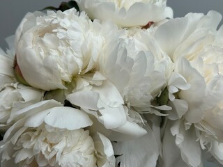 Bouquet of white peonies © Natalia