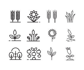 Fototapeta premium Collection of twelve outlined agriculture icons, including wheat, sunflowers, and various plants