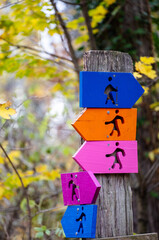 Colorful arrows mark woodland trails