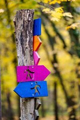 Colorful arrows mark woodland trails