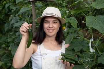 Young woman farmer smiling, holding freshly harvested organic cucumbers, showing successful agriculture and sustainable food production in a greenhouse garden