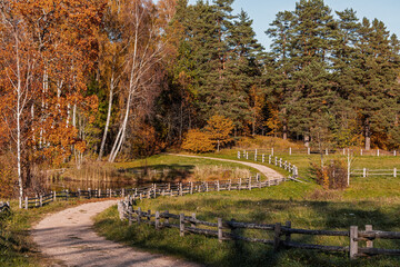 Beautiful autumn nature landscape with orange deciduous trees and green coniferous trees