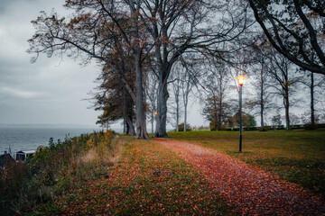 A peaceful walking trail covered in fall leaves near the historic Orenas Castle (Orenas Slott),...