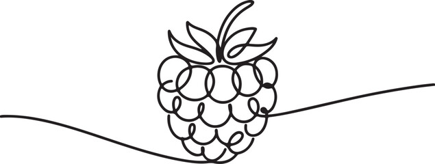 One line raspberry fruit silhouette vector minimal berry drawing illustration © Parrot Graphic