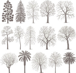 Obraz premium set of trees silhouettes