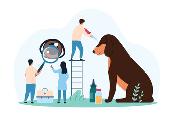 Medical examination of pet in vet hospital. Tiny people with magnifying glass check dogs eye health, veterinarian applying eye drop for professional treatment of animal cartoon vector illustration