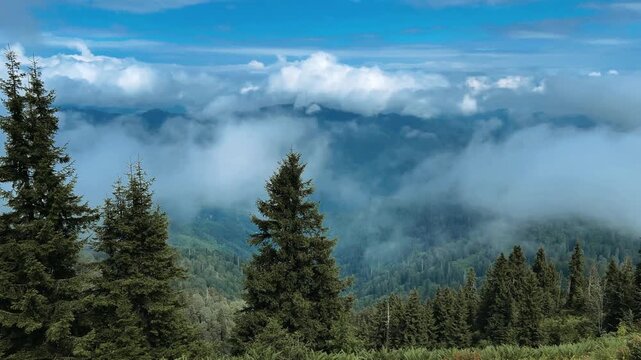 The plateau is covered with clouds that move over the mountain valley. The movement of the fog creeping over the hills at dawn. Mountains and fog on the Pokut plateau in the highlands of the Black Sea