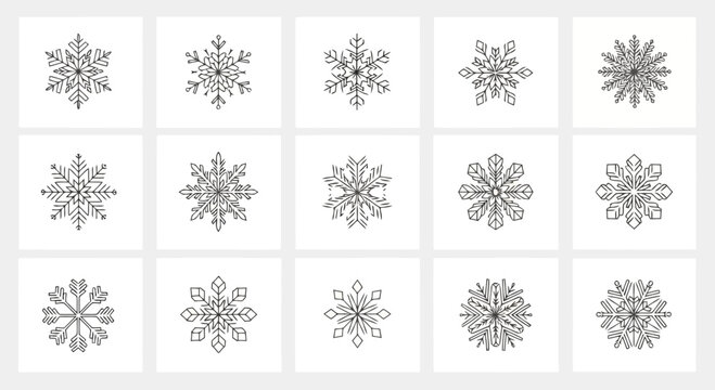 Elegant black and white snowflake patterns with intricate designs and symmetrical shapes