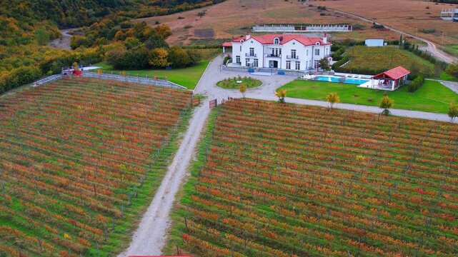 Flight over the red-roofed mansions surrounded by the vineyards. Beautiful countryside of Kakheti, Georgia.