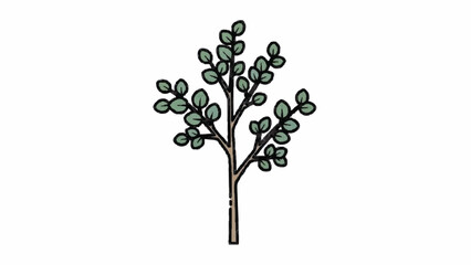 Simple and charming hand-drawn illustration of a small, leafy green sapling or young tree, isolated on a clean white background.