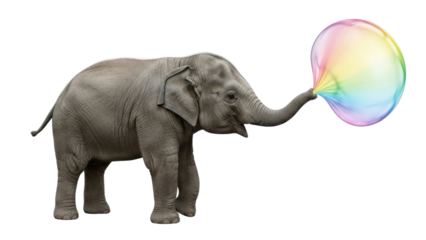Photorealistic Elephant Blowing Large Multicolored Soap Bubble from Trunk isolated PNG with Transparent Background