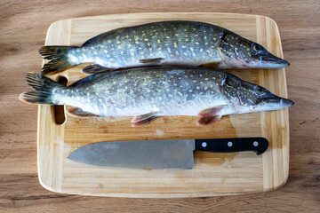 Two raw pikes on a cutting board with a knife. Fresh fish for cutting and cooking.