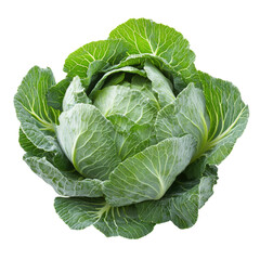 Obraz premium Green cabbage head with layered leaves top view isolated on white