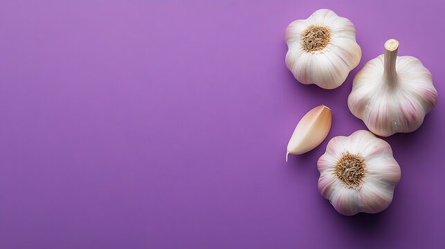 Garlic bulbs and cloves on a solid purple background. Three bulbs and one clove are artistically arranged, showcasing fresh ingredients. Simple, yet eye-catching.