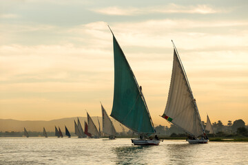 Fototapeta premium Traditional felucca boats on the Nile River in Aswan. Magnificent view of the Nile at sunset. Aswan, Egypt