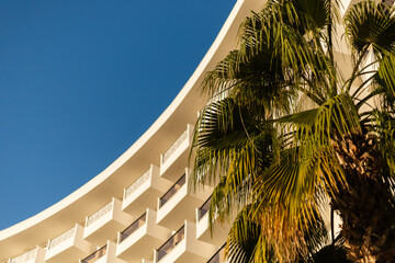 Fototapeta premium A palm tree stands beside a modern building with multiple balconies. The sun is shining, and the sky is clear. The scene captures a warm day in a tropical location