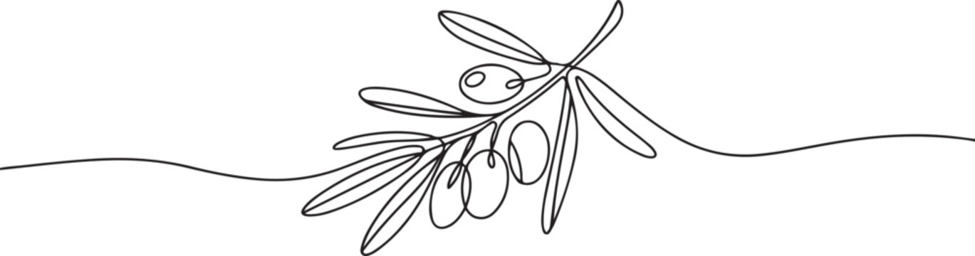 Continuous Line Drawing of Olive Icon. Hand Drawn Symbol Vector Illustration, Olive Brunch Vector Illustration. Fruit, Green, Mediterranean Cuisine, Olive Oil, Aroma. one line Icon drawing