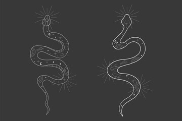 Obraz premium Celestial kundalini snake set magic line tattoo. Boho mystic snake with moon stars. Black serpent silhouette.symbol of spiritual awakening, vitality and inner peace.