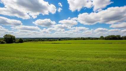 Fototapeta premium Vast green field under a bright blue sky with fluffy white clouds on a sunny day, showcasing rural landscape