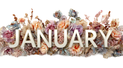 Frosty seasonal design with the word January surrounded by soft winter textures